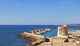 WebCam Torre Vado Porto turistico e Torre Saracena